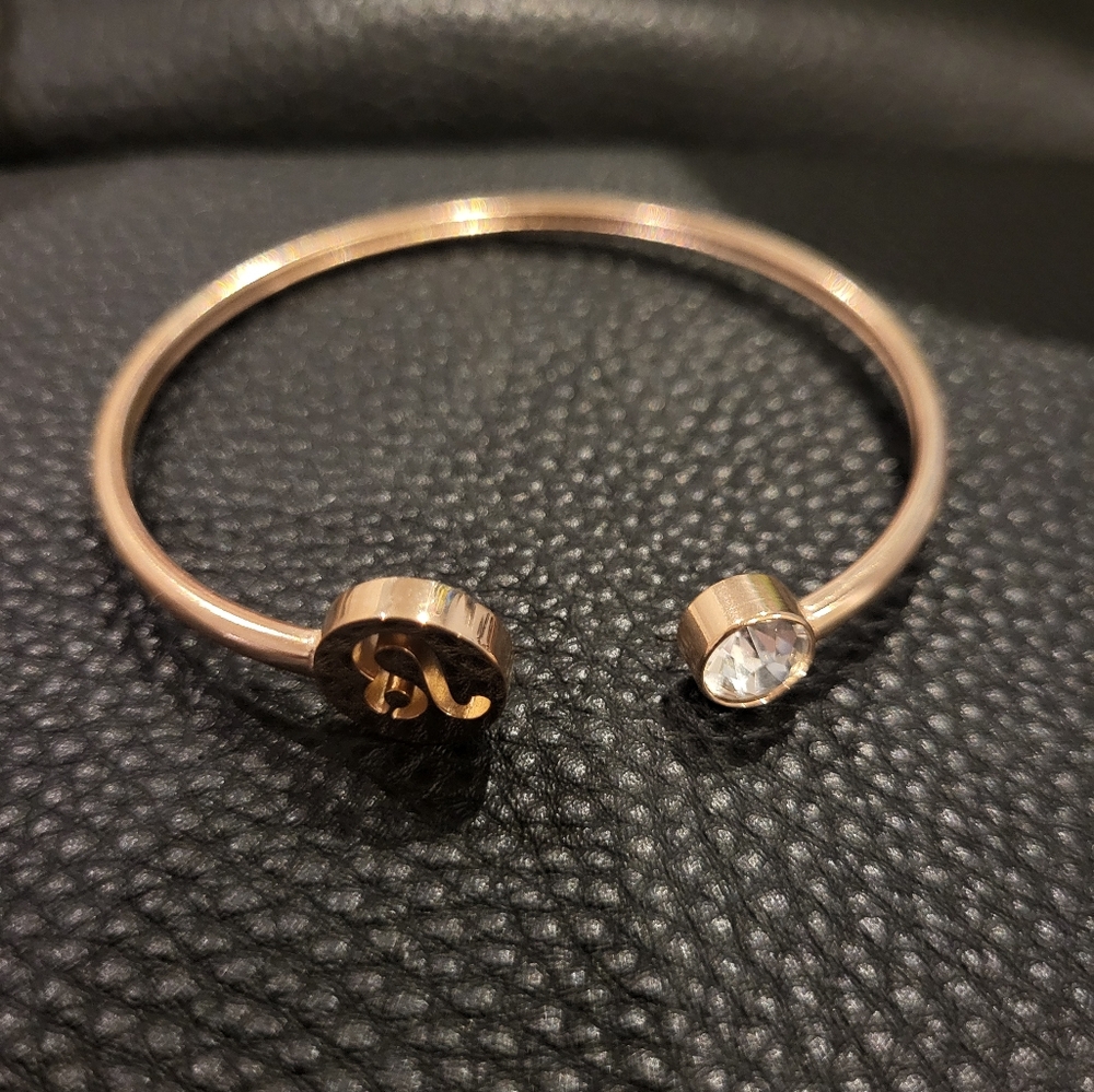 Stainless Steel Leo Bangle with Clear Crystal - Picture 2 of 7